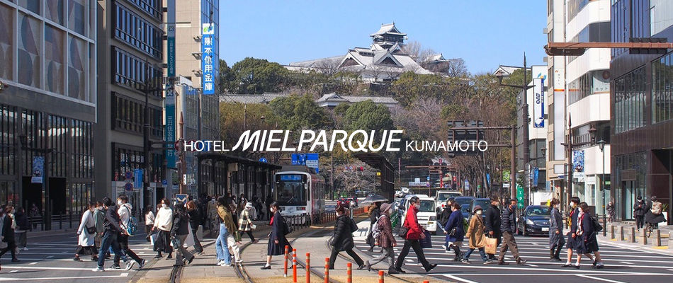 熊本城と市街地の風景