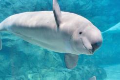 癒しの異空間『名古屋港水族館』チケット付きプラン♪