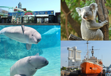 東山動植物園 名古屋港水族館